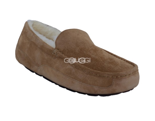 Ugg ascot chestnut Clearance