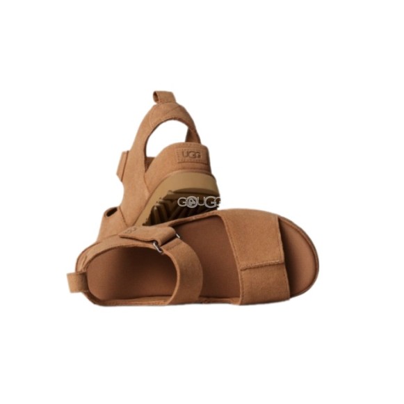 Ugg Goldenstar Hi Chestnut