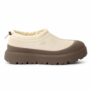 Ugg Tasman Hybrid Molasses