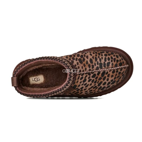 Tazz Caspian Burnt Cedar