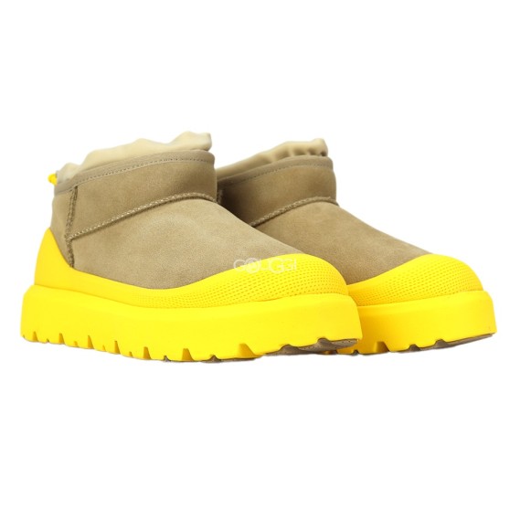 Cl Ultra Mini Weather Hybrid Mustard Seed/Summer Wheat