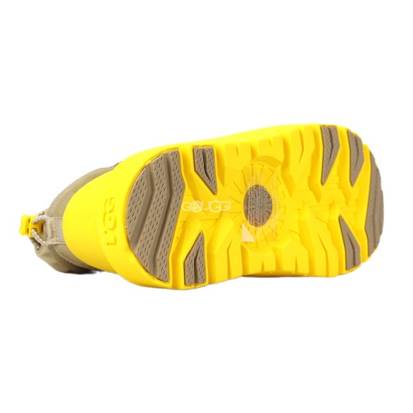 Cl Ultra Mini Weather Hybrid Mustard Seed/Summer Wheat